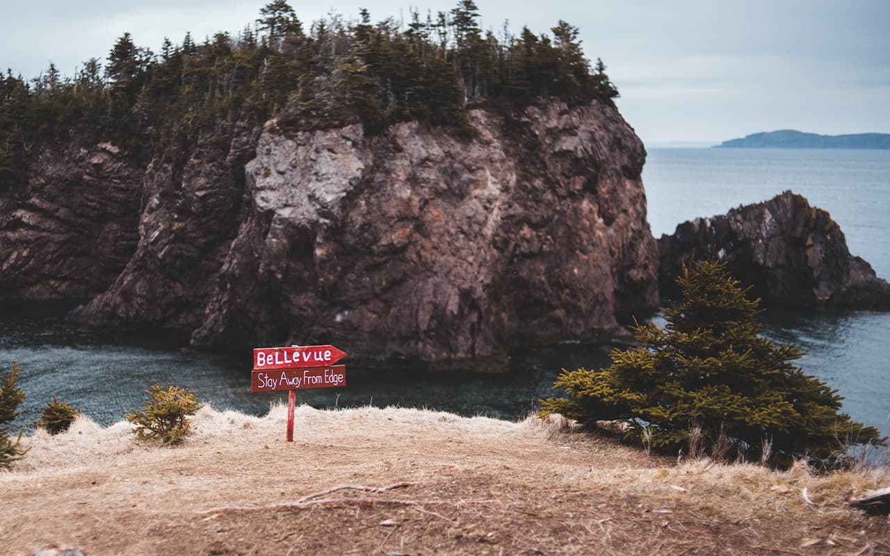 About city Bellevueia